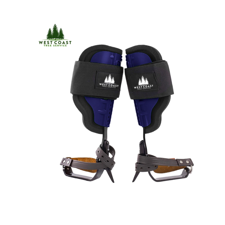 Steel tree climber spikes with ergonomic padding and adjustable straps, designed for stability and comfort, from West Coast Tree Service.